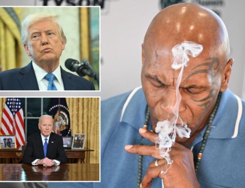 Mike Tyson urges Trump to deliver on cannabis reform after Biden’s…