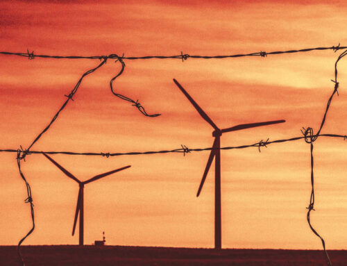 The Senate budget bill would essentially kill wind and solar development