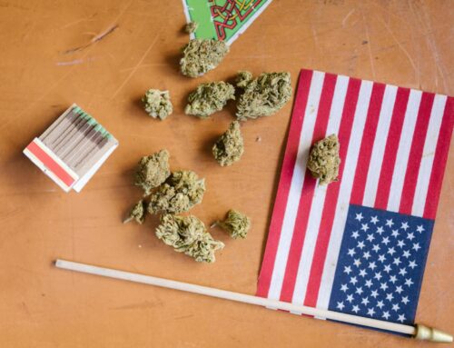 Are Tariffs Impacting Cannabis Prices? Everything You Should Know