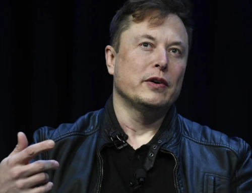 ‘Trees Not Tesla’: Australian city’s protest ignites a war over environment- and Elon Musk