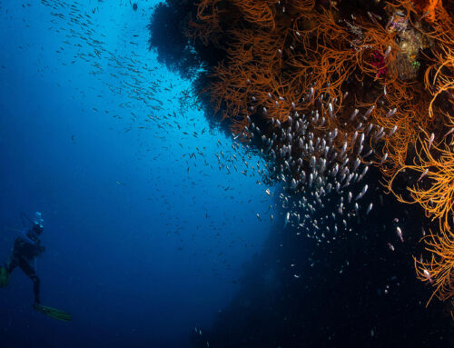Investing in the Next Wave of Ocean Research