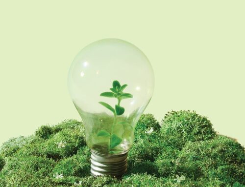 3 Things Climate Therapists Want You to Know