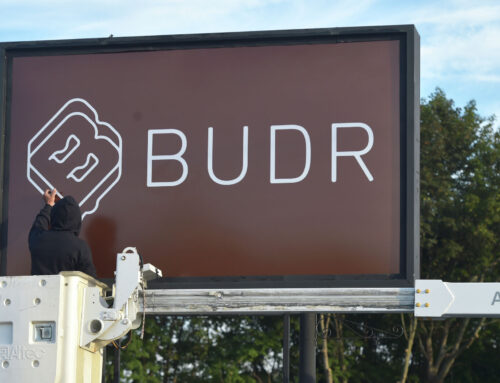 Budr grows CT cannabis market with takeover of Botanist dispensaries in Danbury, Vernon, M