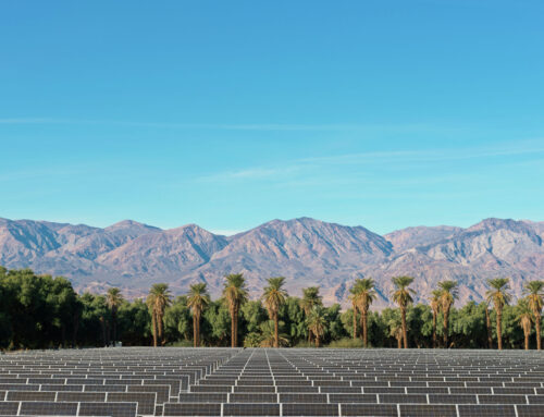 Solar company accused of taking prehistoric artifacts from California land