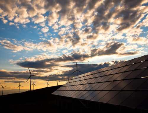 Power company CEO speaks out against government’s strategy for bringing America’s energy b