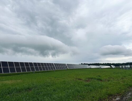 Sussex County solar farm to power 750 homes, supporting Delaware’s clean energy targets