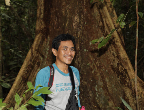 How Mongabay Indonesia grew into a trusted environmental voice