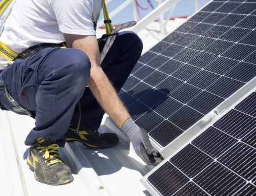 Energy expert urges homeowners to go solar after ‘overnight’ policy proposal threatens luc