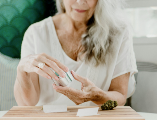 Study: Rising Percentage of Seniors Acknowledge Regularly Consuming Cannabis Study: Rising