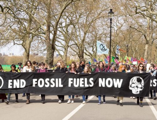 Make the Fossil Fuel Powers Stranded Assets