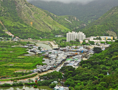 Five Recommendations to Diversify and Accelerate Investments in Nature-based Solutions for
