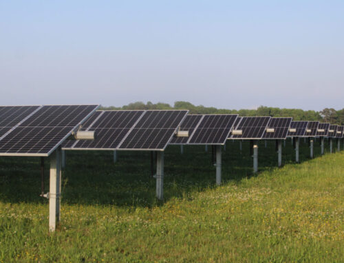 Trump’s Budget Wish Could Threaten Billions in Clean Energy Investment in Virginia