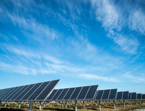 ‘Yes, in my back yard’—most people who live near large-scale solar projects are happy to h