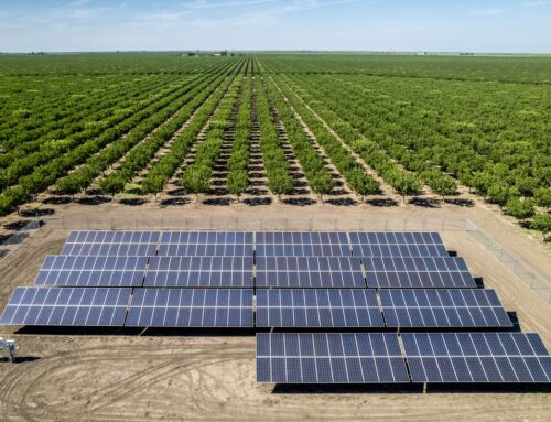 Wind and Solar Energy Are Cheaper Than Electricity from Fossil-Fuel Plants