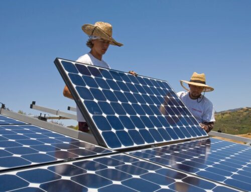 What Sunnova’s Bankruptcy Means for the Future of Solar
