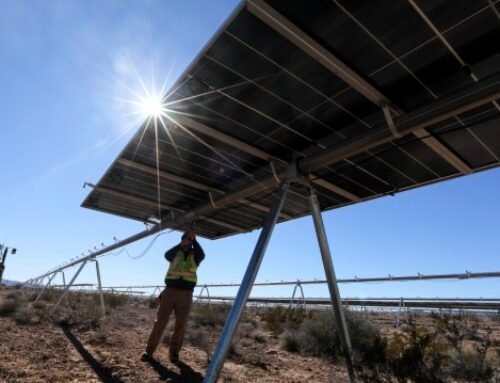 Solar panel arrays may help sustain grasslands during drought: Study