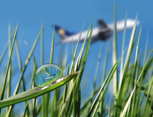 Environmental Sustainability Coordination Group
