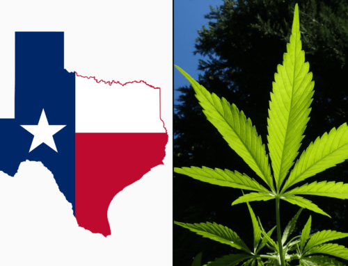 Why Is Texas Supporting Psychedelics Research While Criminalizing Cannabis? (Op-Ed)