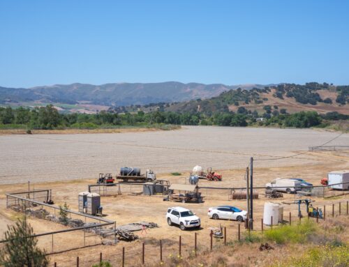 Grapes vs. grass: Vintner’s lawsuit against cannabis grower has class action stakes