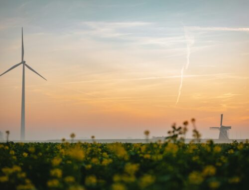 Dutch impact investing market growing strongly, NAB reports 