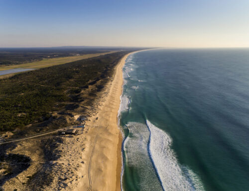 Scientists propose ‘disruptive’ solution that could protect coastlines from impending cris