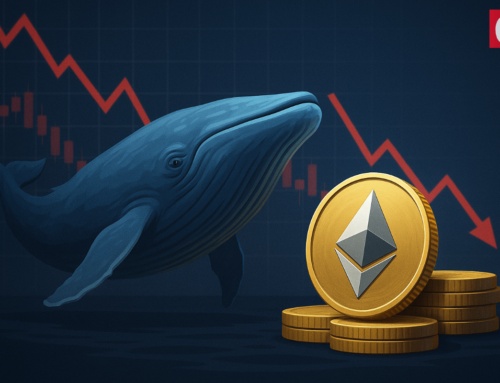 Whale Buys $113M ETH Dip — Is This Ethereum’s Bottom?