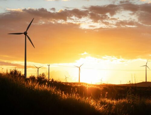 Public support for renewable energy drops as partisan divides and fossil fuel interests gr