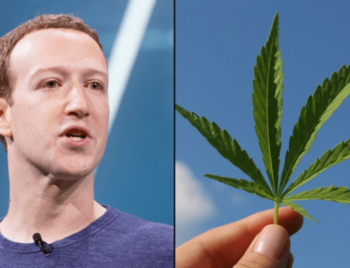 Facebook And Instagram Seem To Have Stopped Censoring Search Results For ‘Marijuana’ And ‘