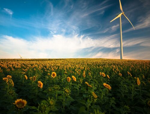 ESG News Recap: European Renewable Energy Stocks Soar