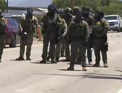 Cannabis Farmworker is on Life Support After Immigration Raid
