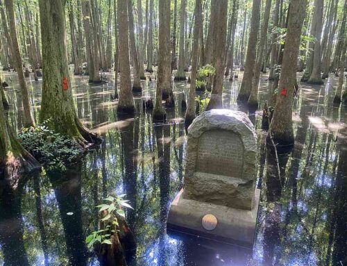 WATCH | Unique environment, US history await at Louisiana Purchase State Park | Hot Spring