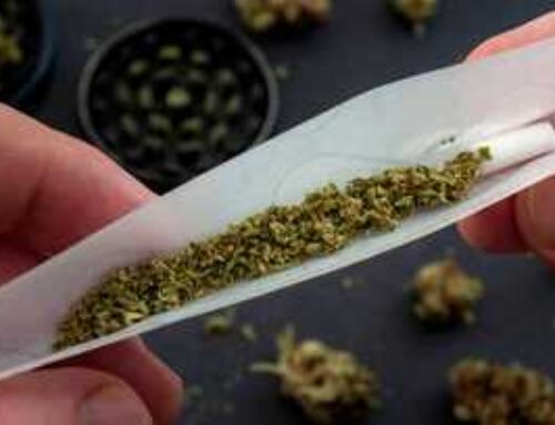Compliance officers to help crack down on illegal cannabis in New Mexico