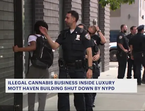 NYPD busts illegal cannabis business inside luxury Mott Haven apartment building