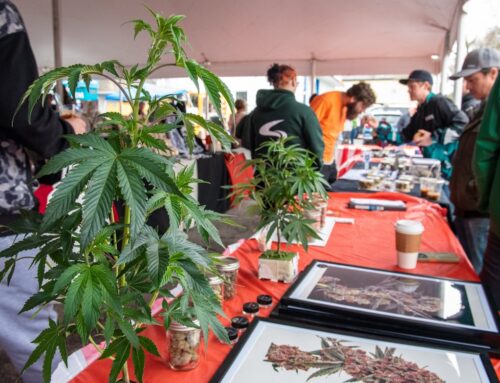 Maine’s cannabis banking crisis calls for smarter regulation