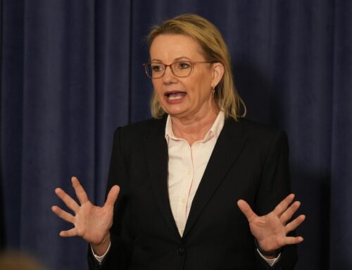 Live: Environment minister heads to SA to inspect toxic algal bloom