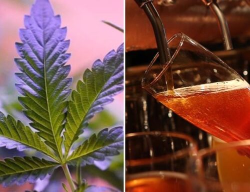 Big alcohol preparing to face off against cannabis companies as competition heats up
