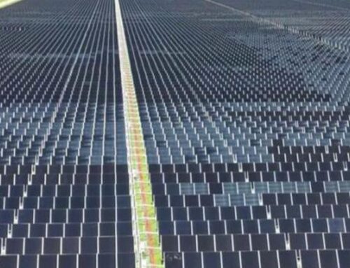 NC governor warns Senate cuts will be costly to state’s clean energy economy