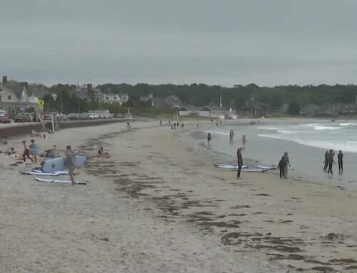 Report finds 51 Maine beaches tested positive for potentially unsafe contamination in 2024