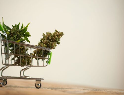 CSQ Announces New Standards for Cannabis Retail, Warehousing, and Distribution