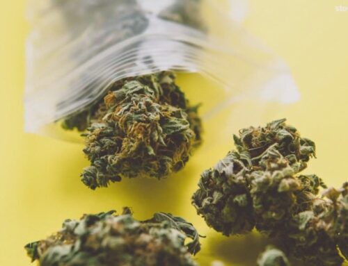Common council approves cannabis resolution