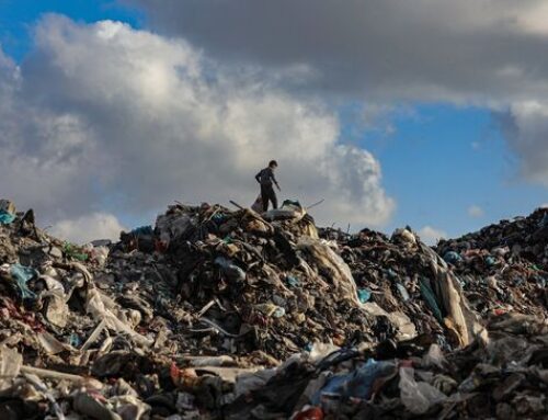 Gaza Faces Environmental Disaster as War Creates Waste, Contamination