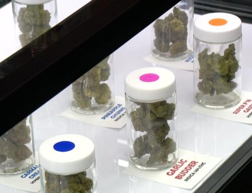 Southern Minnesota business hopes to be among first retail cannabis dispensaries in the st