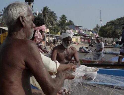 Tiruchendur’s shoreline disappearing to coastal erosion