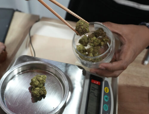 New cannabis tax increase is a high concern for California dispensaries, customers