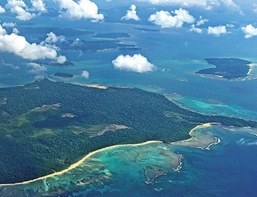 Environment impact study for Great Nicobar project downplays earthquake risk