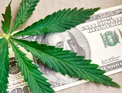 Ohio Cannabis Enthusiasts Buy Twice As Much Adult-Legal Pot Than Medical Marijuana