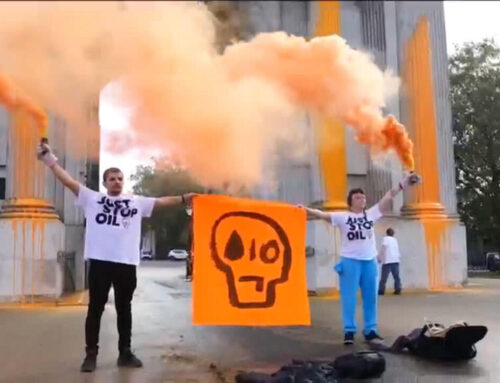 New crackdown on environmental activists