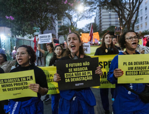 Brazil’s Congress passes ‘devastation bill’ in major environmental setback