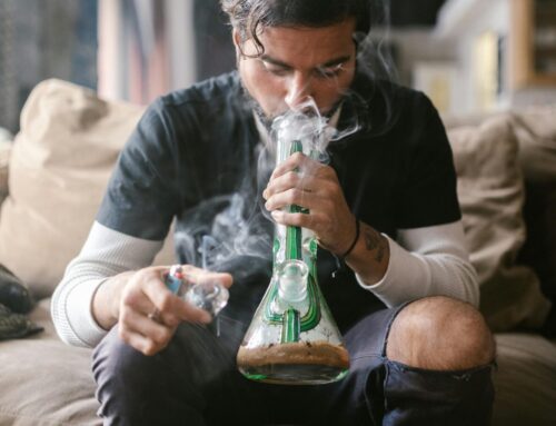 Top 7 NYC Cannabis Picks with Full Spectrum Highs to Try This Summer | stupidDOPE