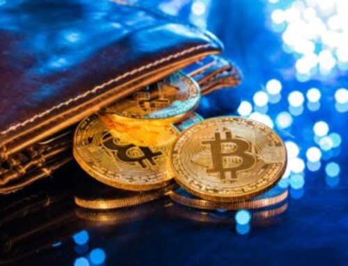 Number of Big Bitcoin Wallets on the Rise